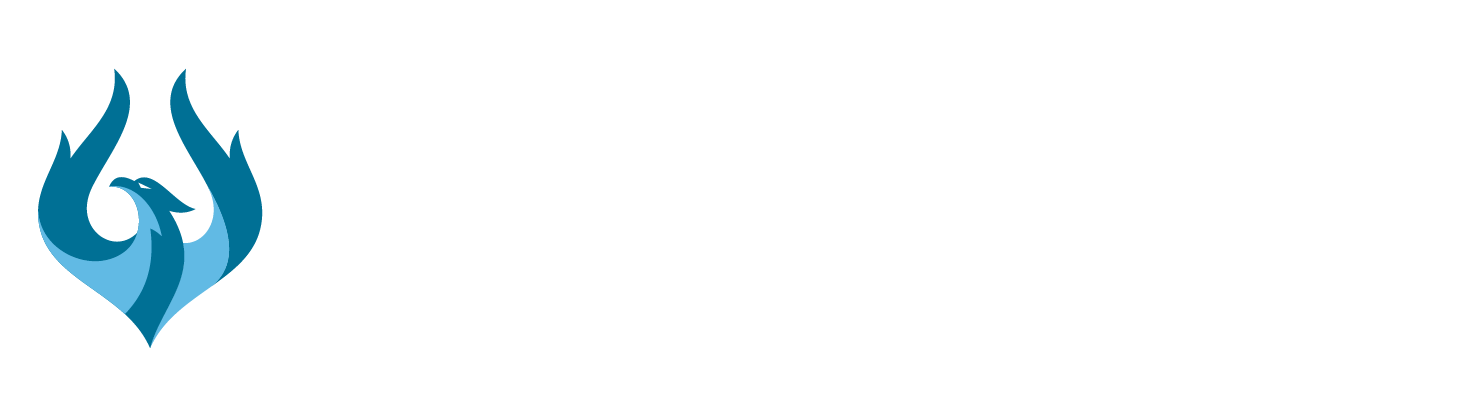 Jiva Solution and Crown Commercial Service Logo
